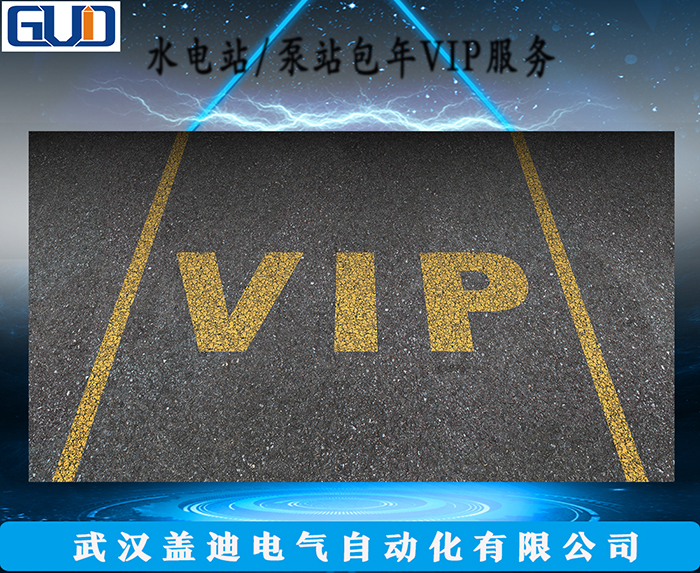 水電站/泵站包年VIP技術(shù)服務(wù)
