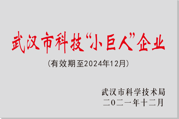 武漢市“科技小巨人”企業(yè)